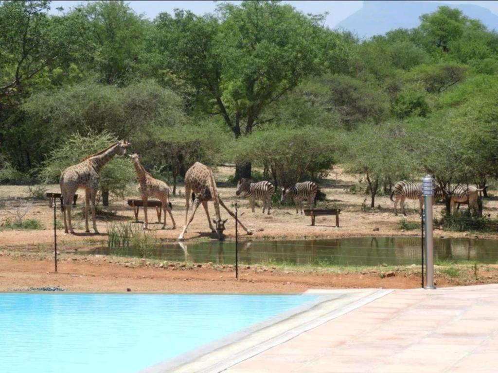 Thandolwami Bushlodge & Spa Hoedspruit Exterior photo