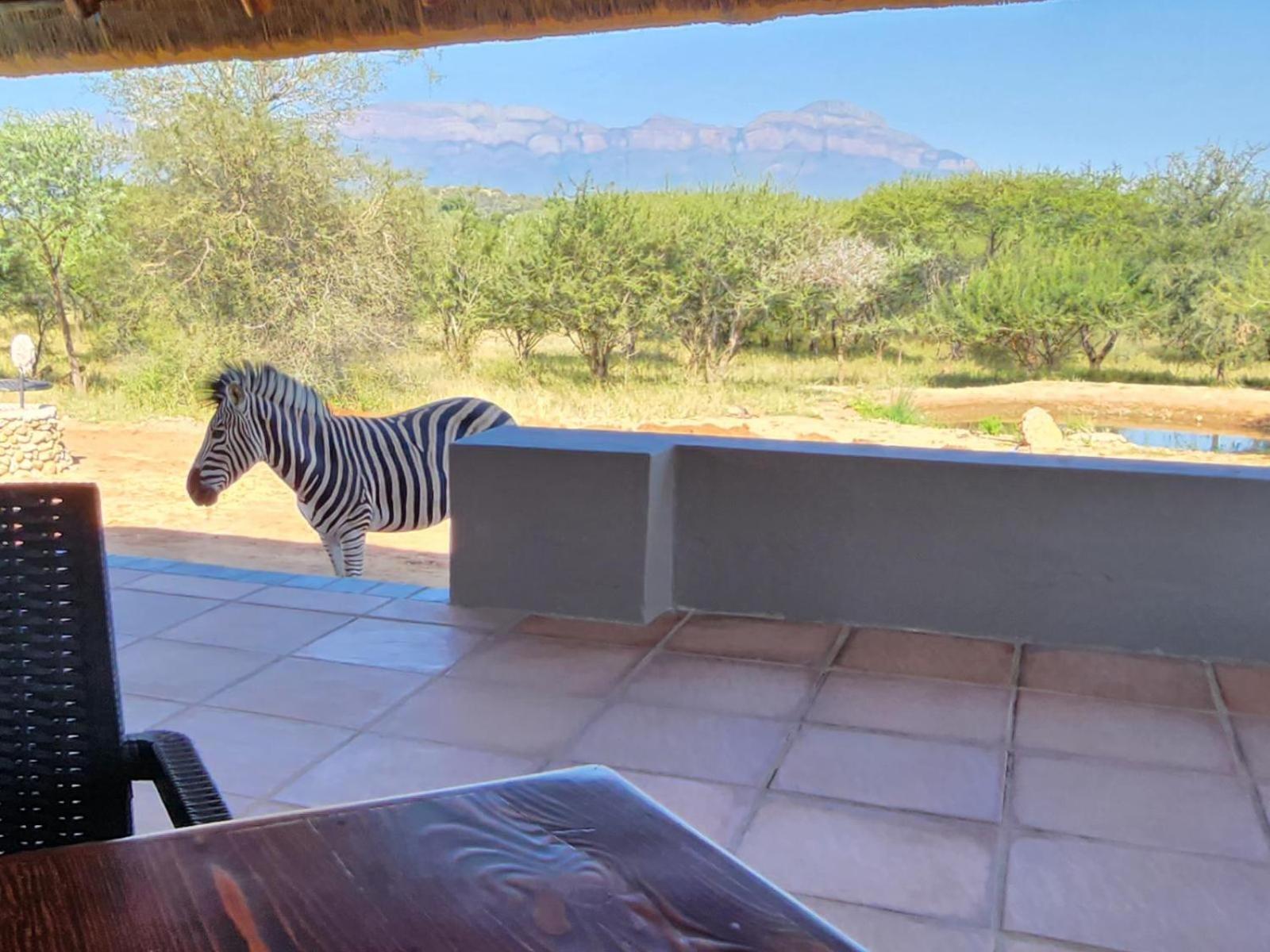 Thandolwami Bushlodge & Spa Hoedspruit Exterior photo